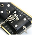 Perfect Lover Verstelbare Leren Halsband met Spikes - Kinky Dominantie en Comfort