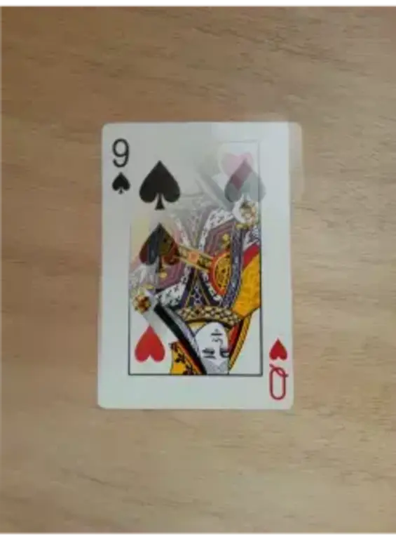 Goochelen.nl 2 Card Transpo kaarttruc