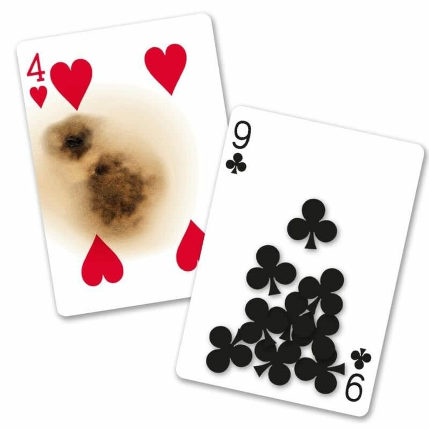 Bicycle Bicycle - Super Gaff Deck