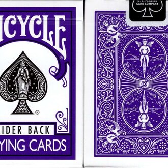 Bicycle rider back standaard paars