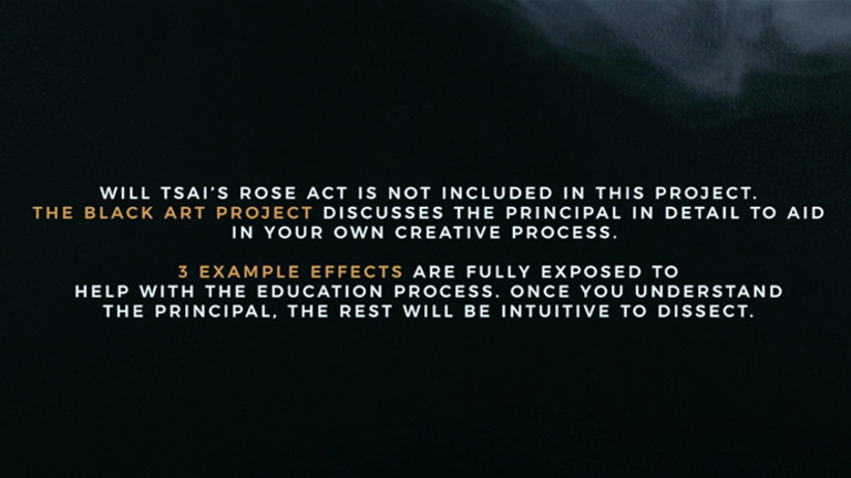 Black Art Project (2 DVD Set) by SansMinds