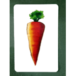 Carrot culprit