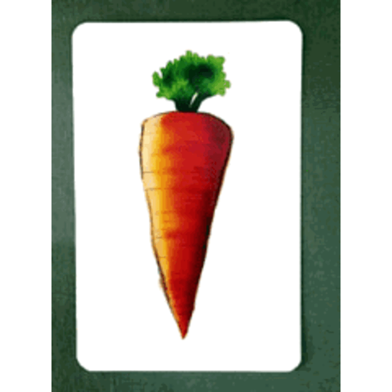 Carrot culprit