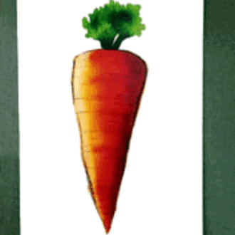 Carrot culprit