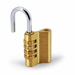 Password lock DF