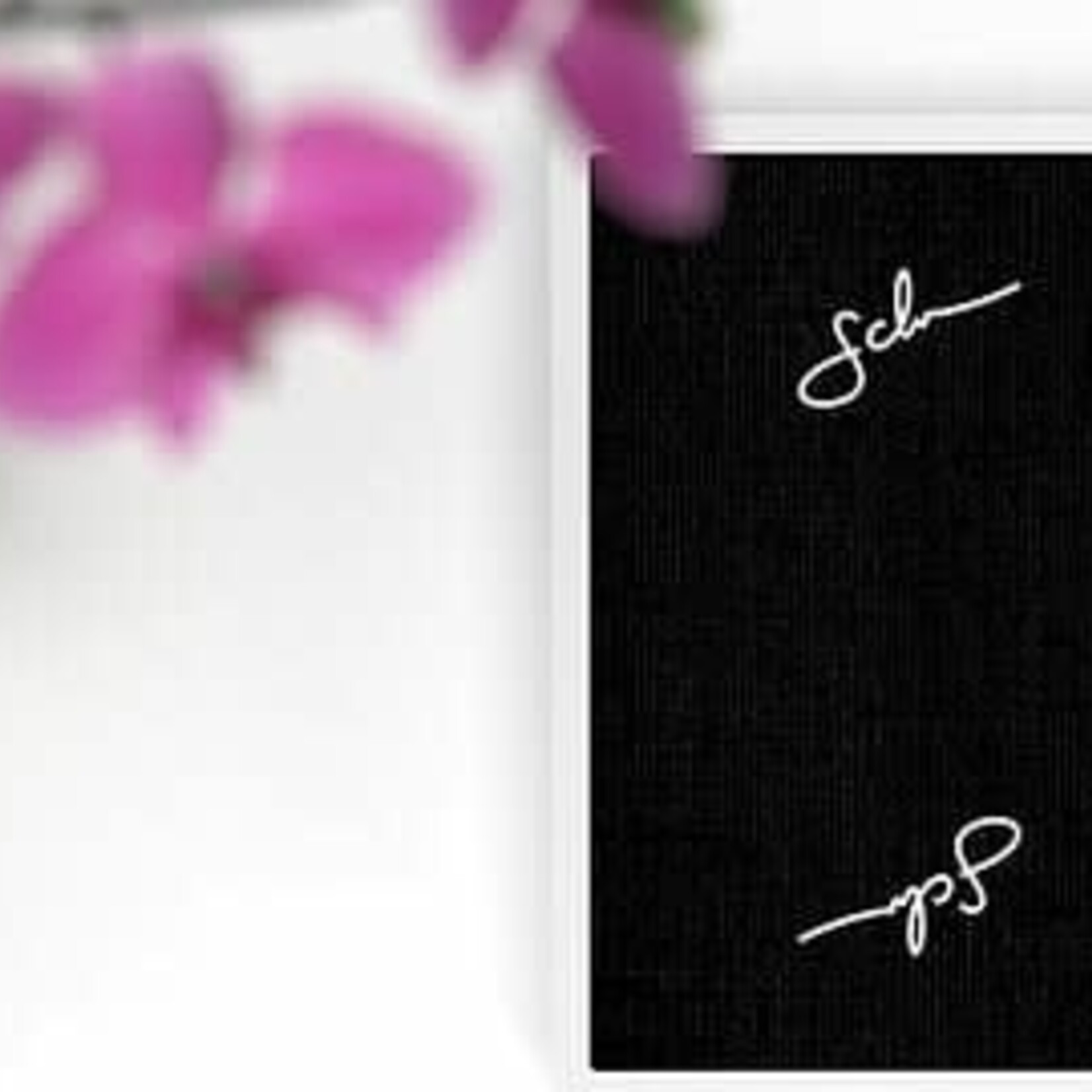 Daniel Schneider Limited Edition Playing Cards