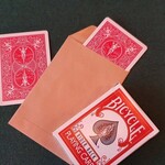 Envelopje groot (10 stuks)