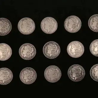 Exploded coins - Morgan Replica