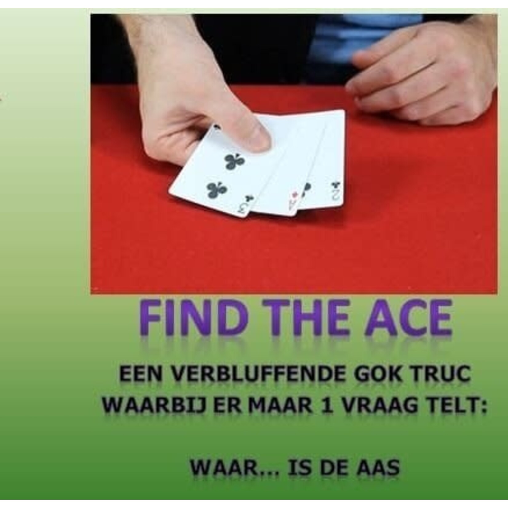 Magic Makers Find the ACE