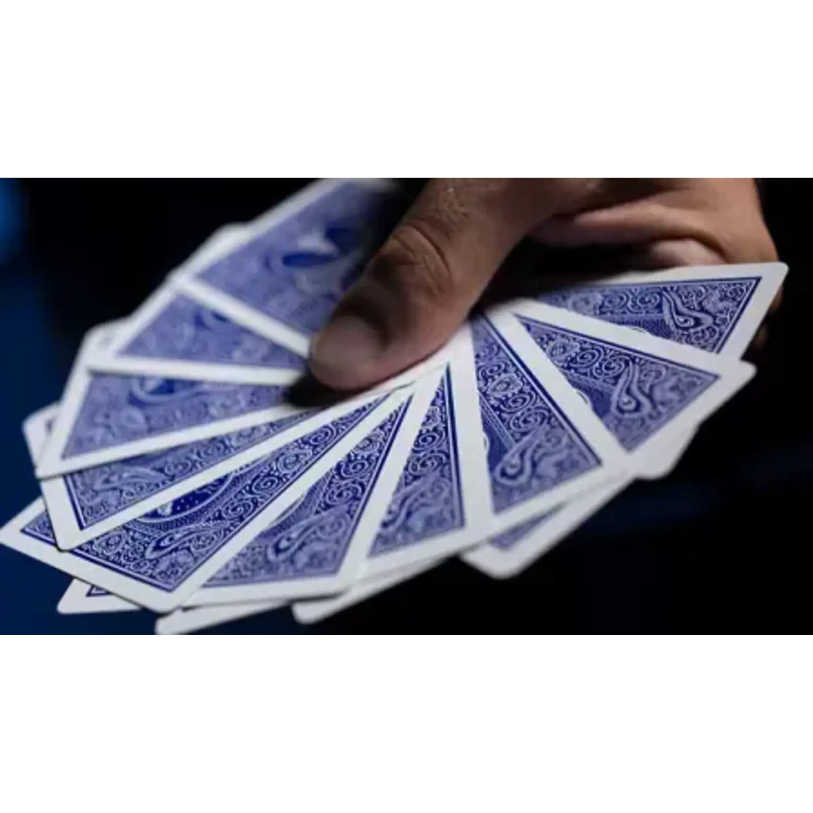 Murphy's Magic Supplies, Inc. GT Speedreader Marked Deck BLAUW
