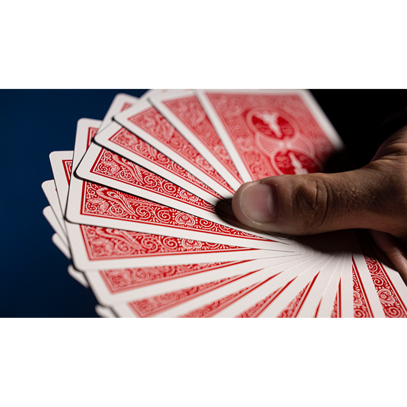 Murphy's Magic Supplies, Inc. GT Speedreader Marked Deck ROOD