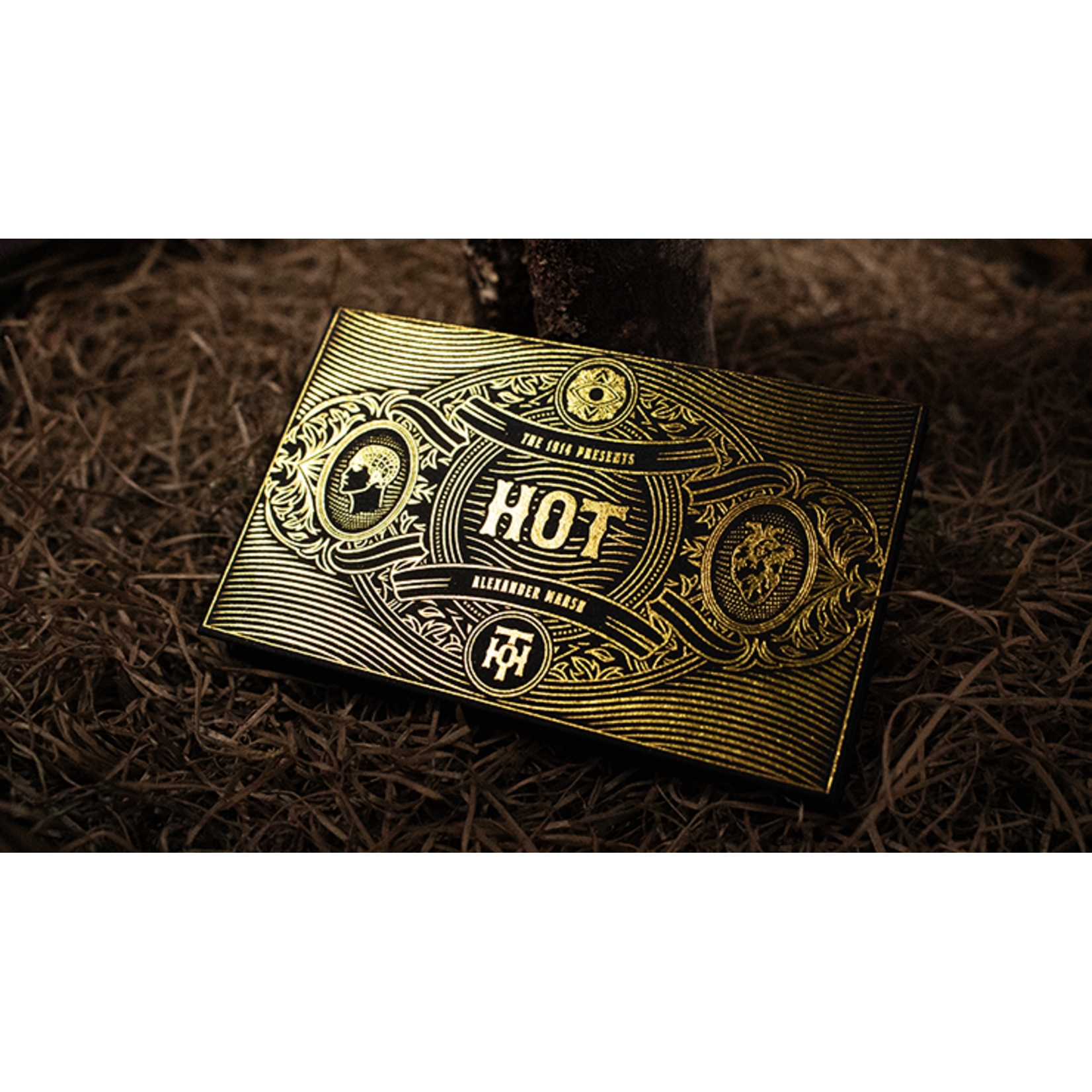 Hot by Alexander Marsh