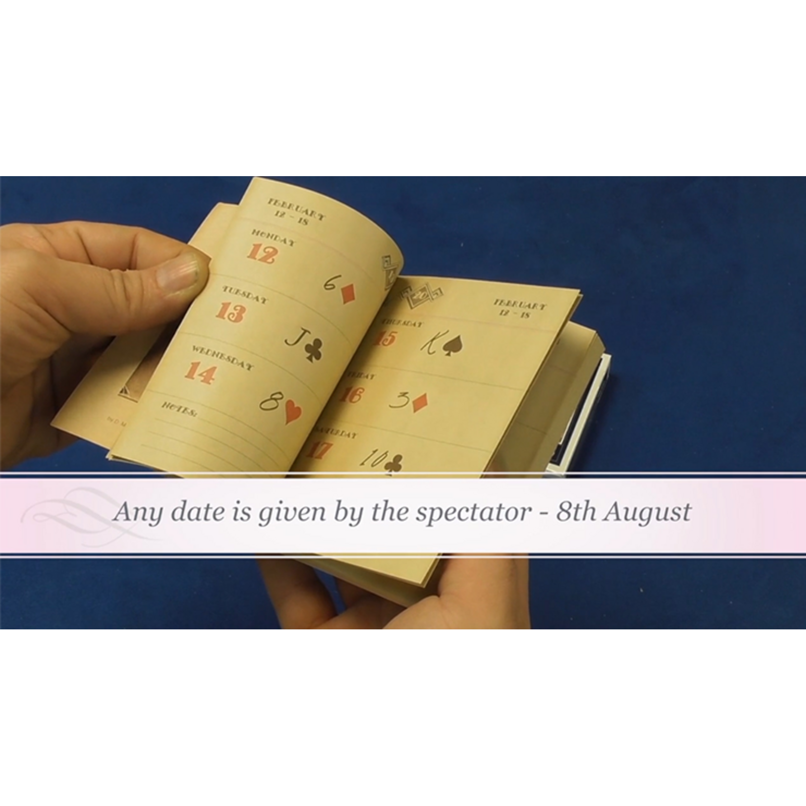 Houdini's Diary by Wayne Dobson and Alan Wong