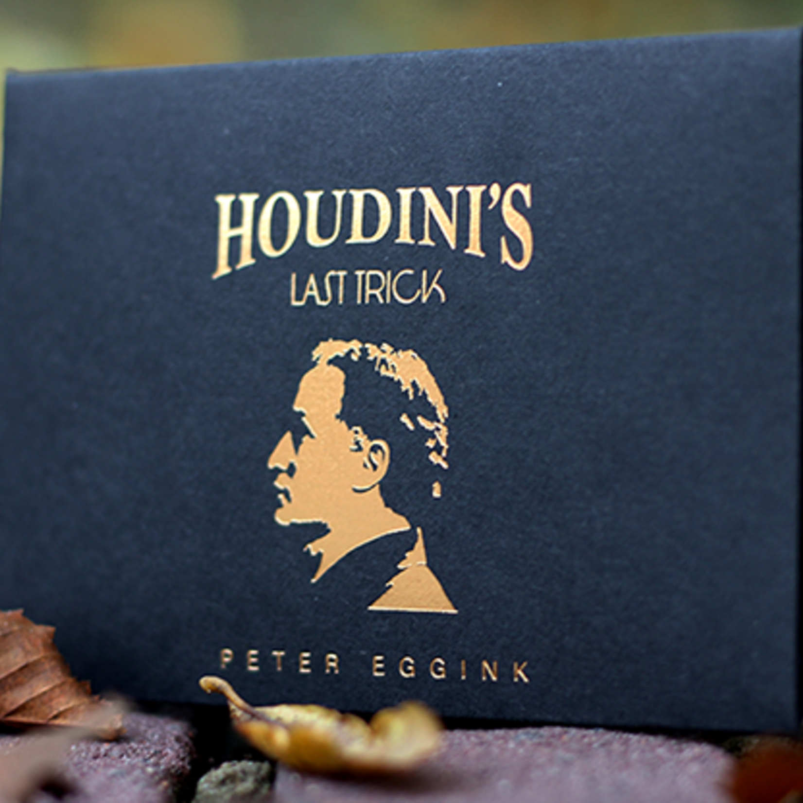 Houdinis Last Trick by Peter Eggink