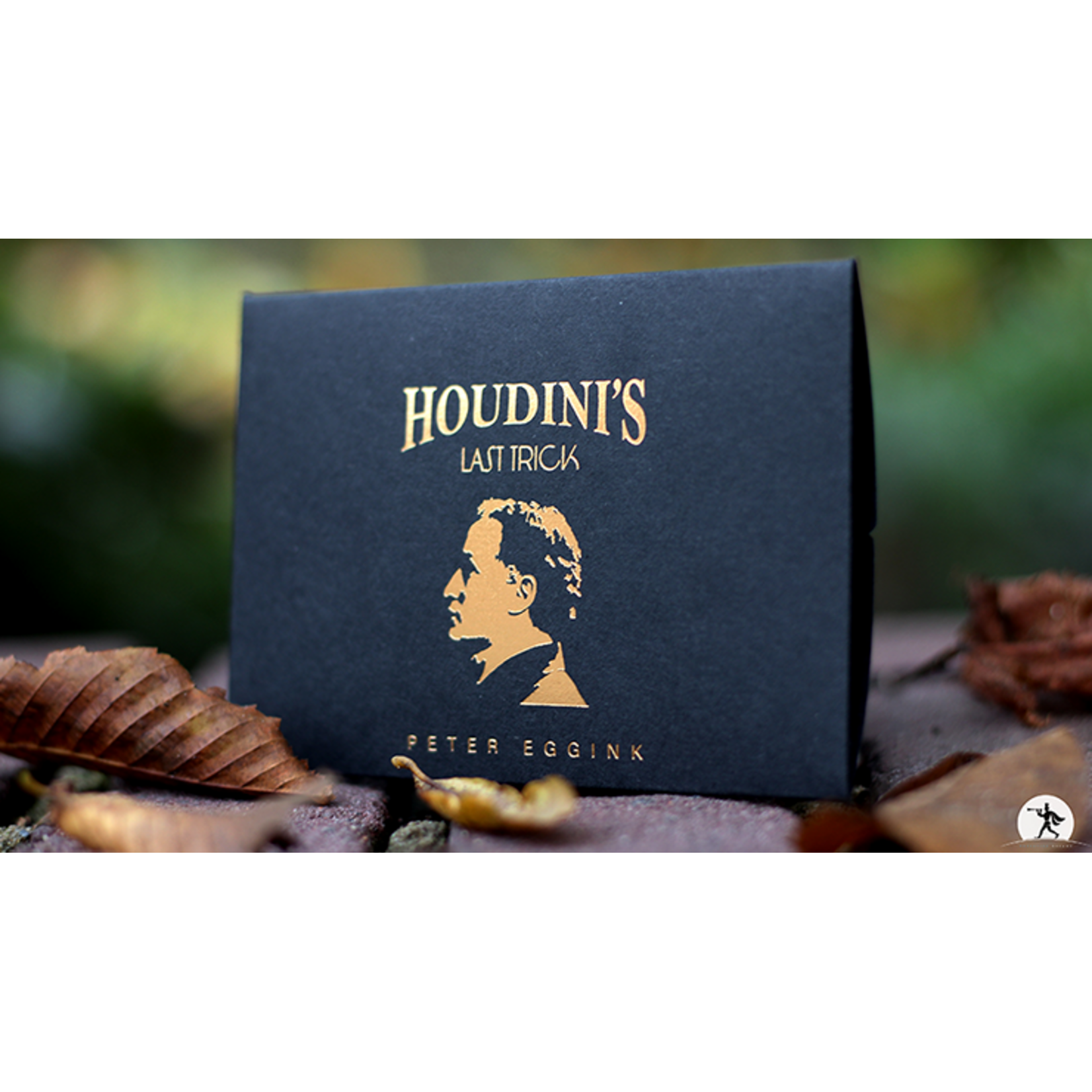 Houdinis Last Trick by Peter Eggink