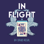 In Flight David Regal