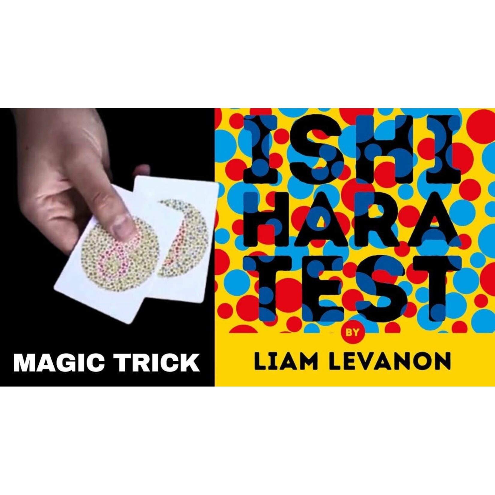 Ishihara Test by Liam Levanon