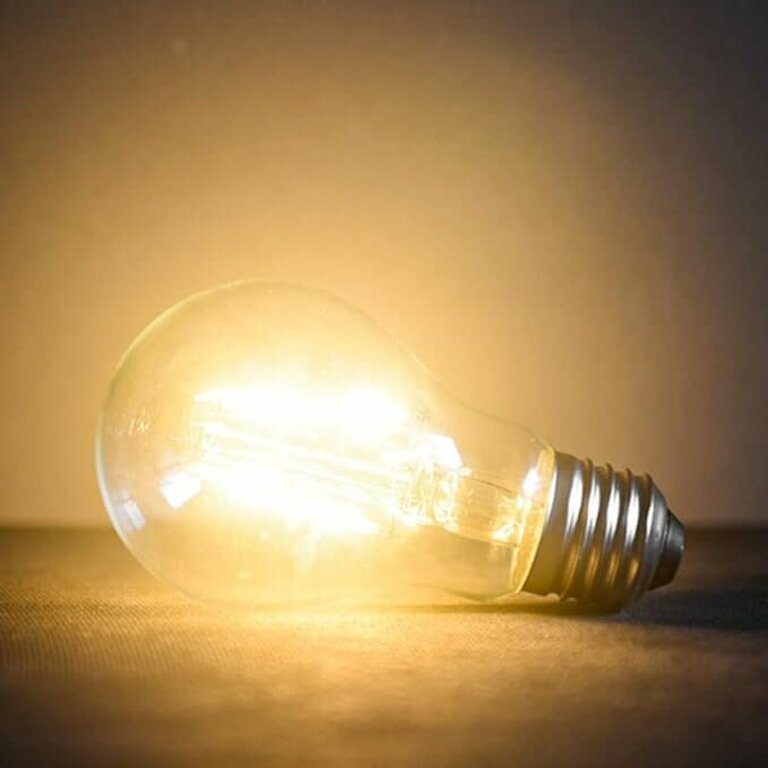 Light Bulb Pro/Light of God