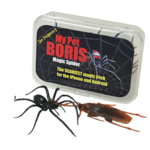 Magic Spider - My pet boris