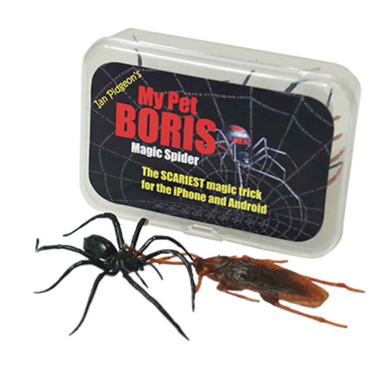 Magic Spider - My pet boris