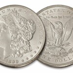 Morgan Dollar Coin Shell set