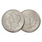 Morgan Dollar Coin Shell set