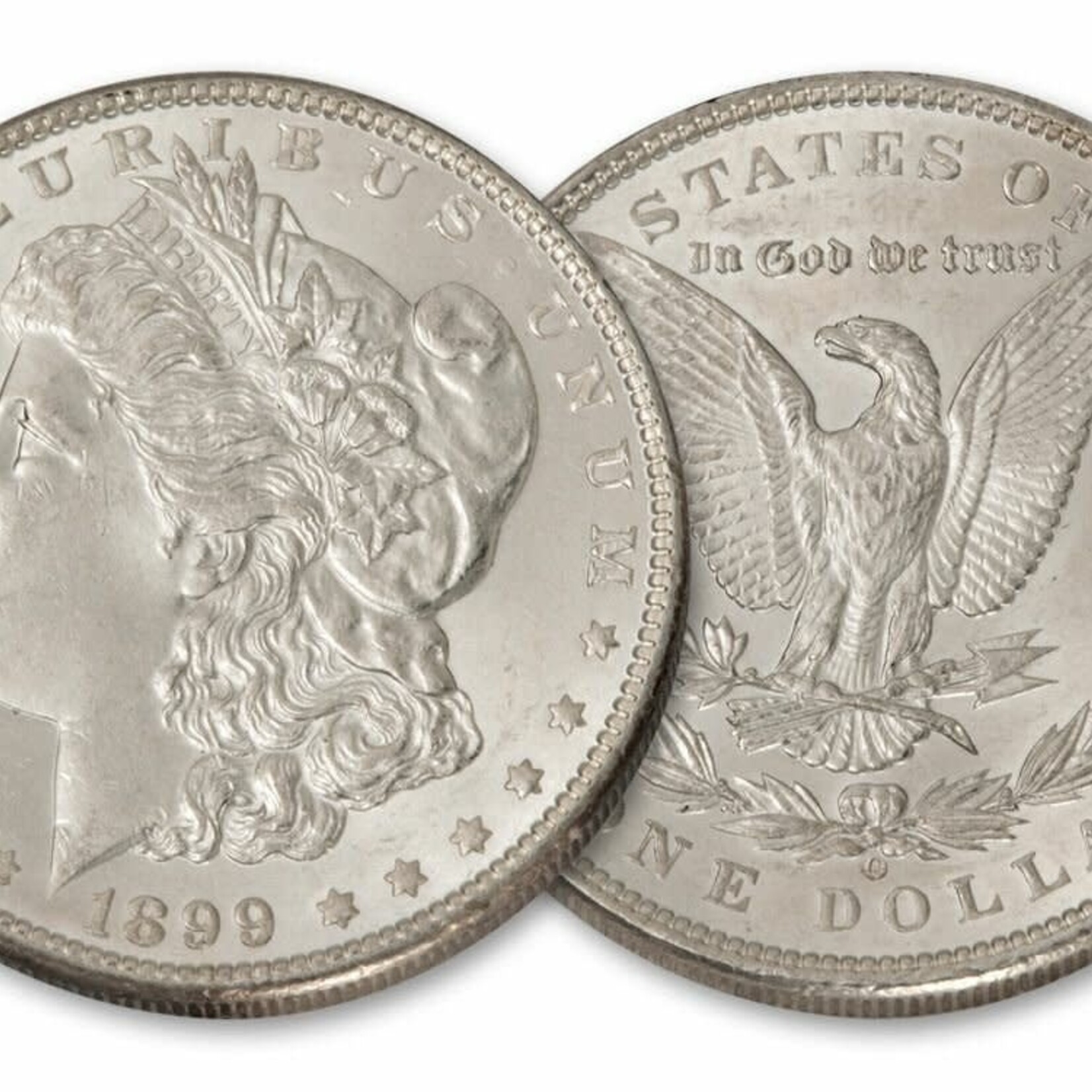 Morgan Dollar Coin Shell set