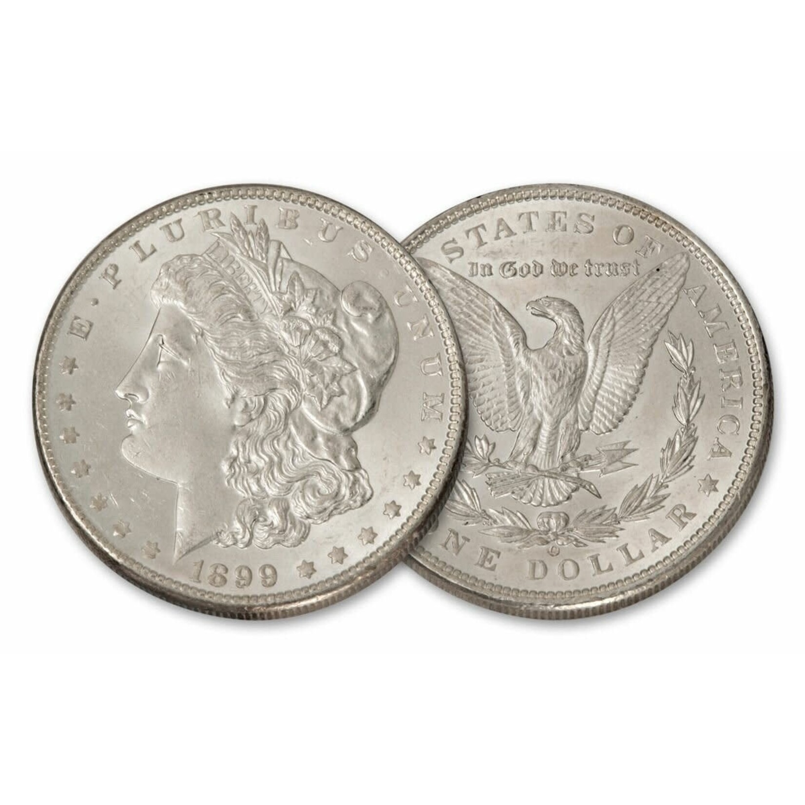 Morgan Dollar Coin Shell set