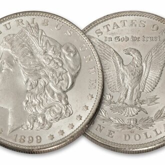 Morgan Dollar Coin Shell set