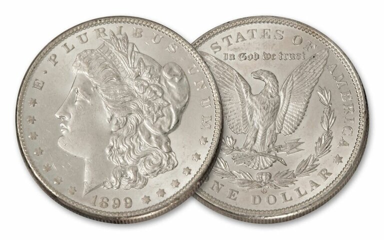 Morgan Dollar Coin Shell set