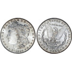 Morgan Dollar, kopie