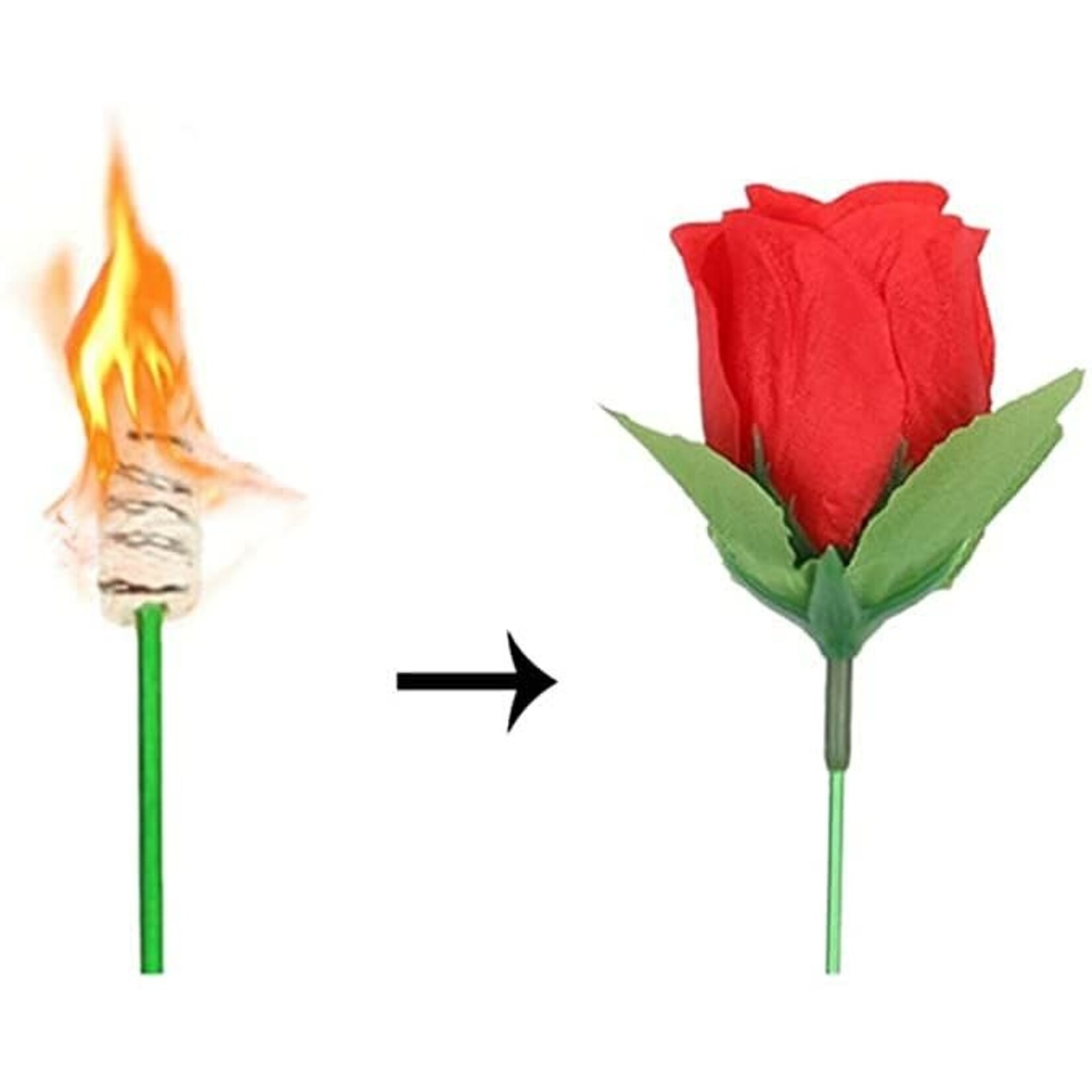New torch to rose