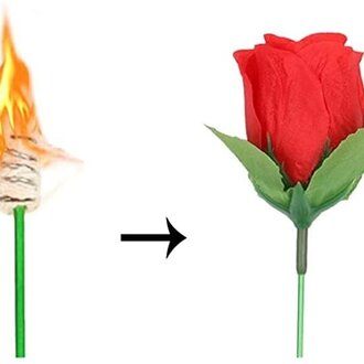 New torch to rose