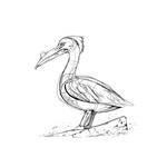 Magicshop Pelican Gimmick - Akira Ishizaki