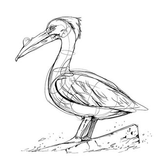 Magicshop Pelican Gimmick - Akira Ishizaki