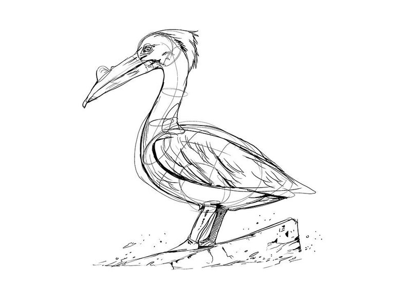 Magicshop Pelican Gimmick - Akira Ishizaki