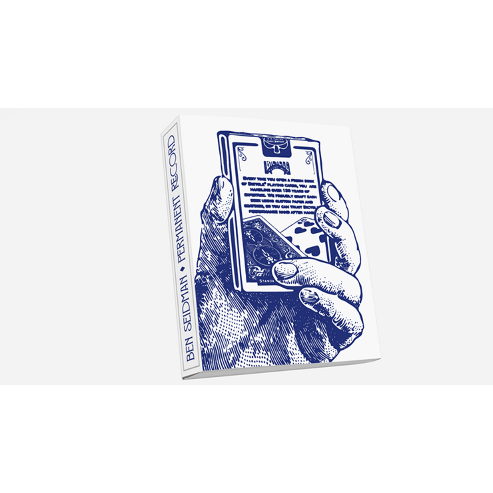 Permanent Record by Ben Seidman