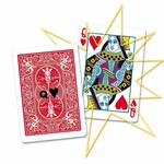 Prediction Metamorphosis