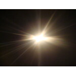 Professional d-light white