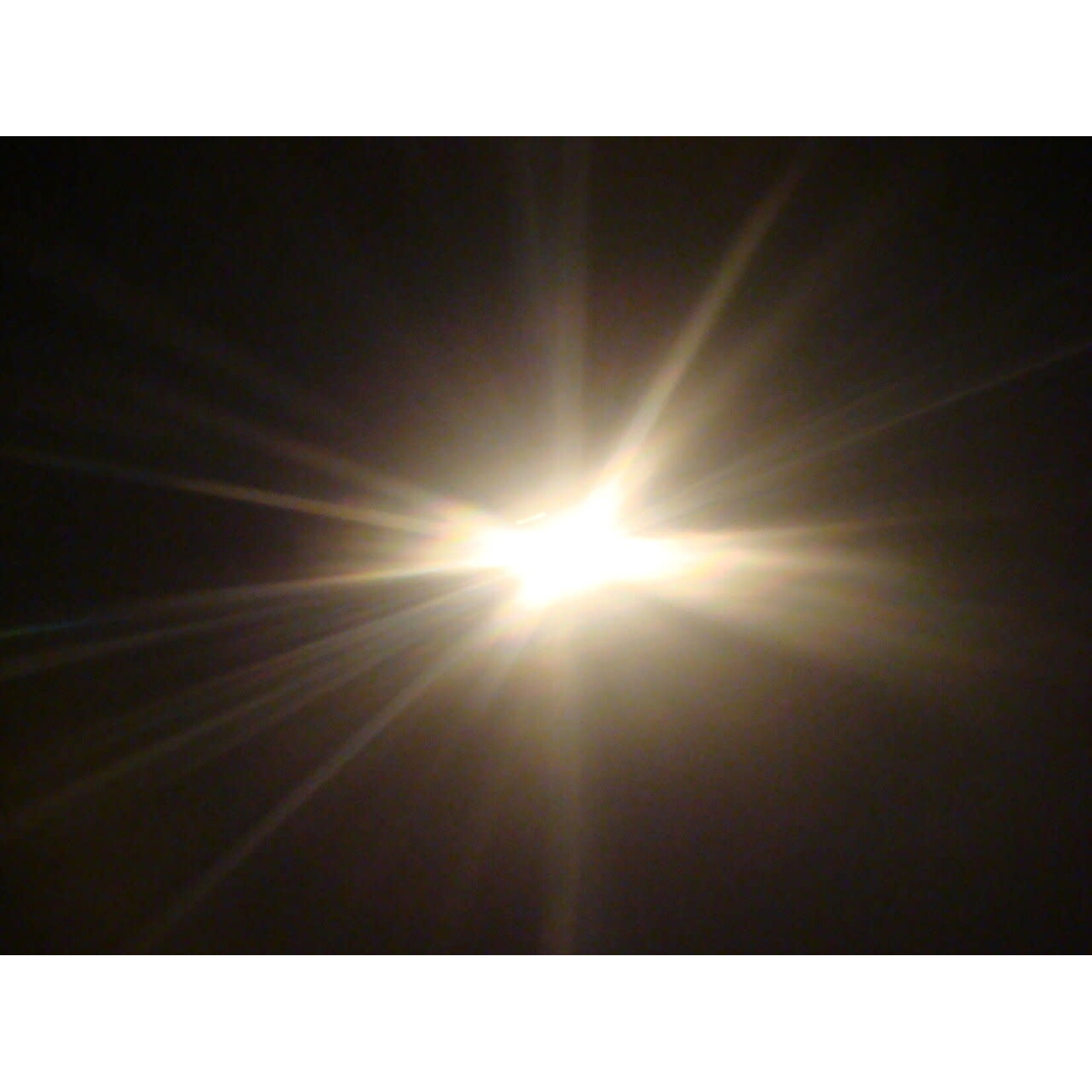 Professional d-light white
