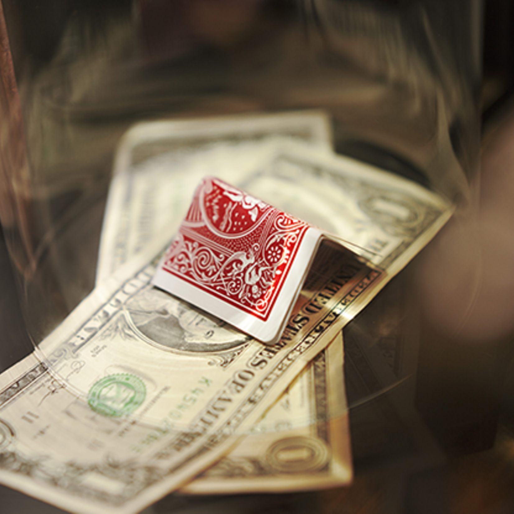 Profiteer by Adrian Vega