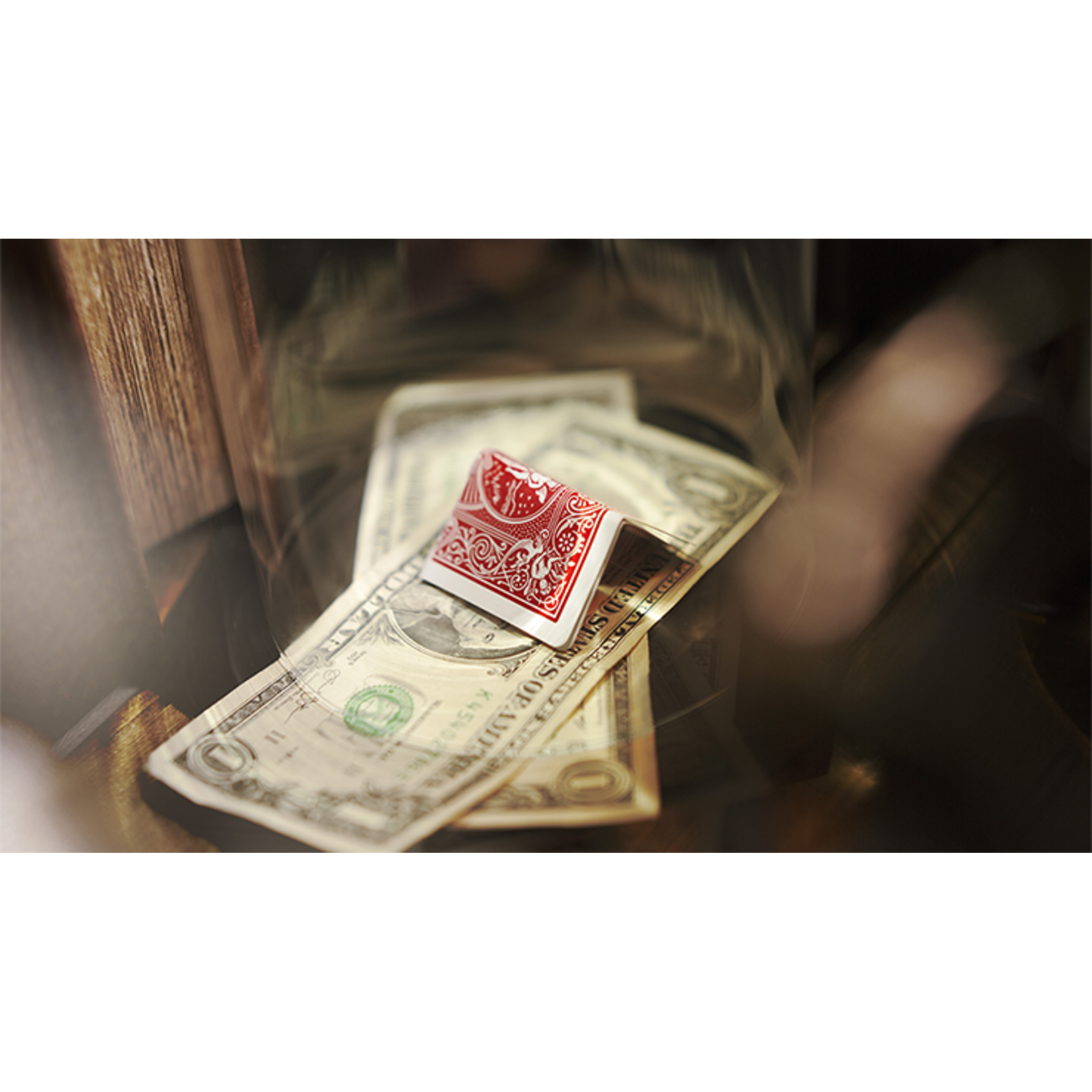 Profiteer by Adrian Vega
