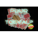 Puur toeval? Instant download