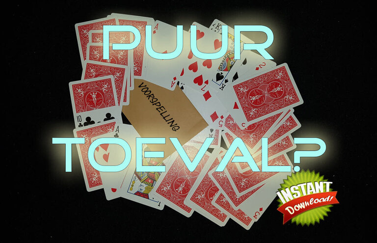 Puur toeval? Instant download