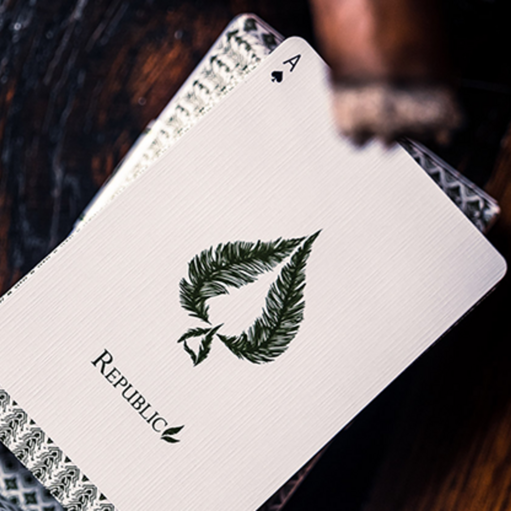 Republics: Jeremy Griffith Edition Speelkaarten