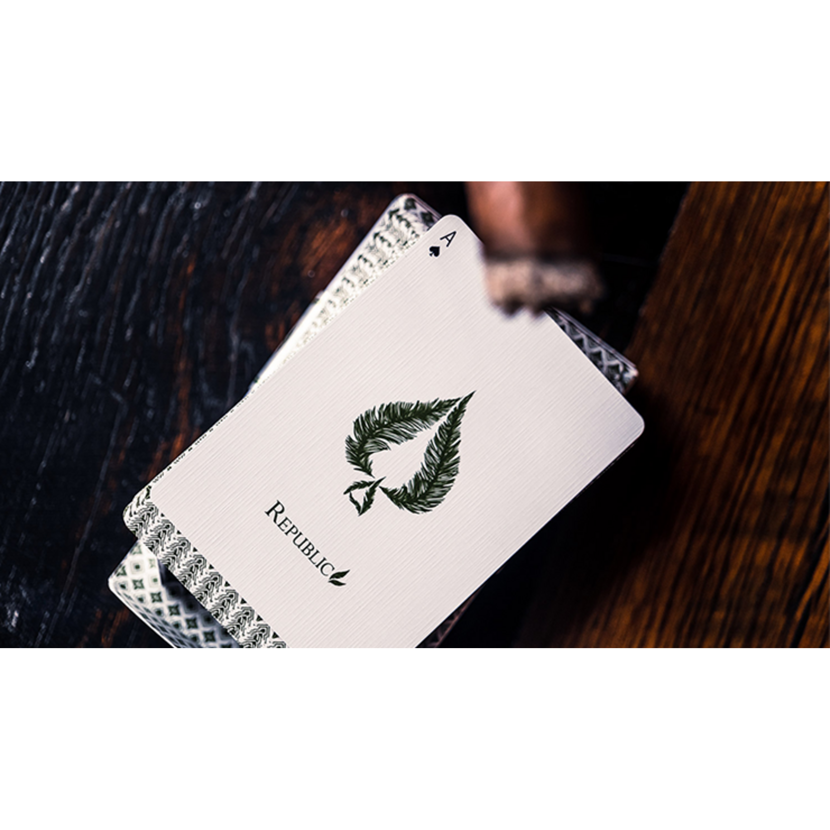 Republics: Jeremy Griffith Edition Speelkaarten