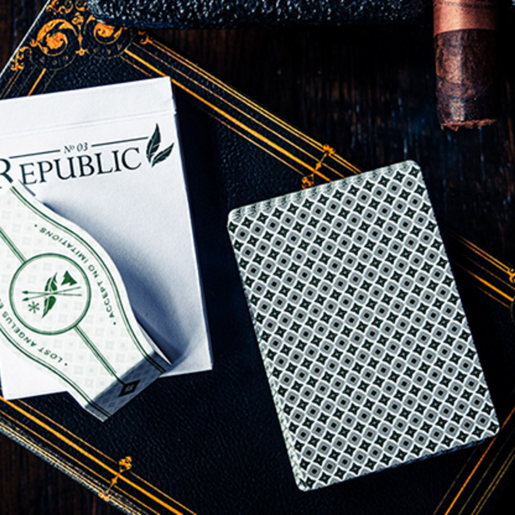 Republics: Jeremy Griffith Edition Speelkaarten