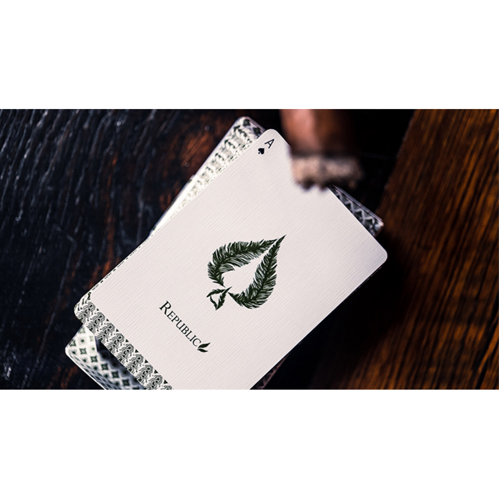 Republics: Jeremy Griffith Edition Speelkaarten