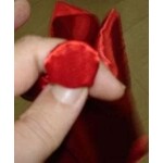 Ring vanishing handkerchief