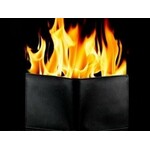 ZAP fire wallet